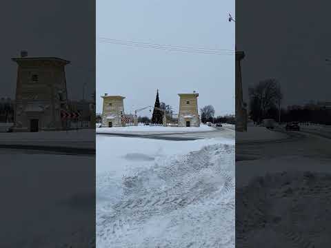 стесняюсь делать селфи