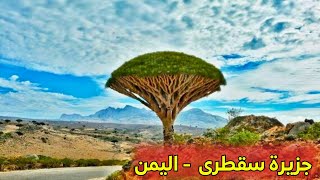 جزيرة سقطرى اليمن أغرب مكان في العالم  - طبيعة لا مثيل لها