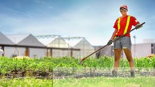 Horticulture – Food and Farming - Durham College