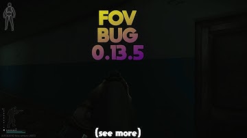 FOV Bug - Escape from tarkov 0.13.5