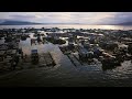 Fish Farming and Community Insights