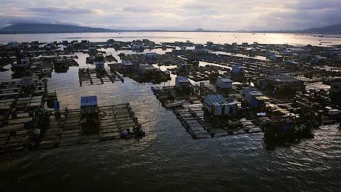 These Chinese Fishing Communities Raise Their Own Fish - DayDayNews