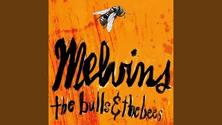 Vignette de la vidéo "Melvins - Youth of America"