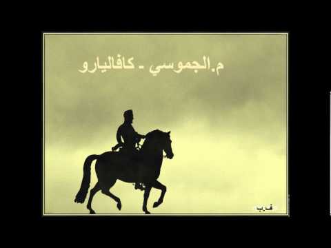 م الجموسي  كافاليارو 