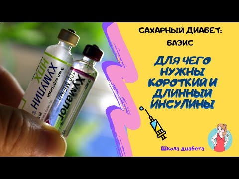 Инсулины короткого и длинного действия: зачем они нужны