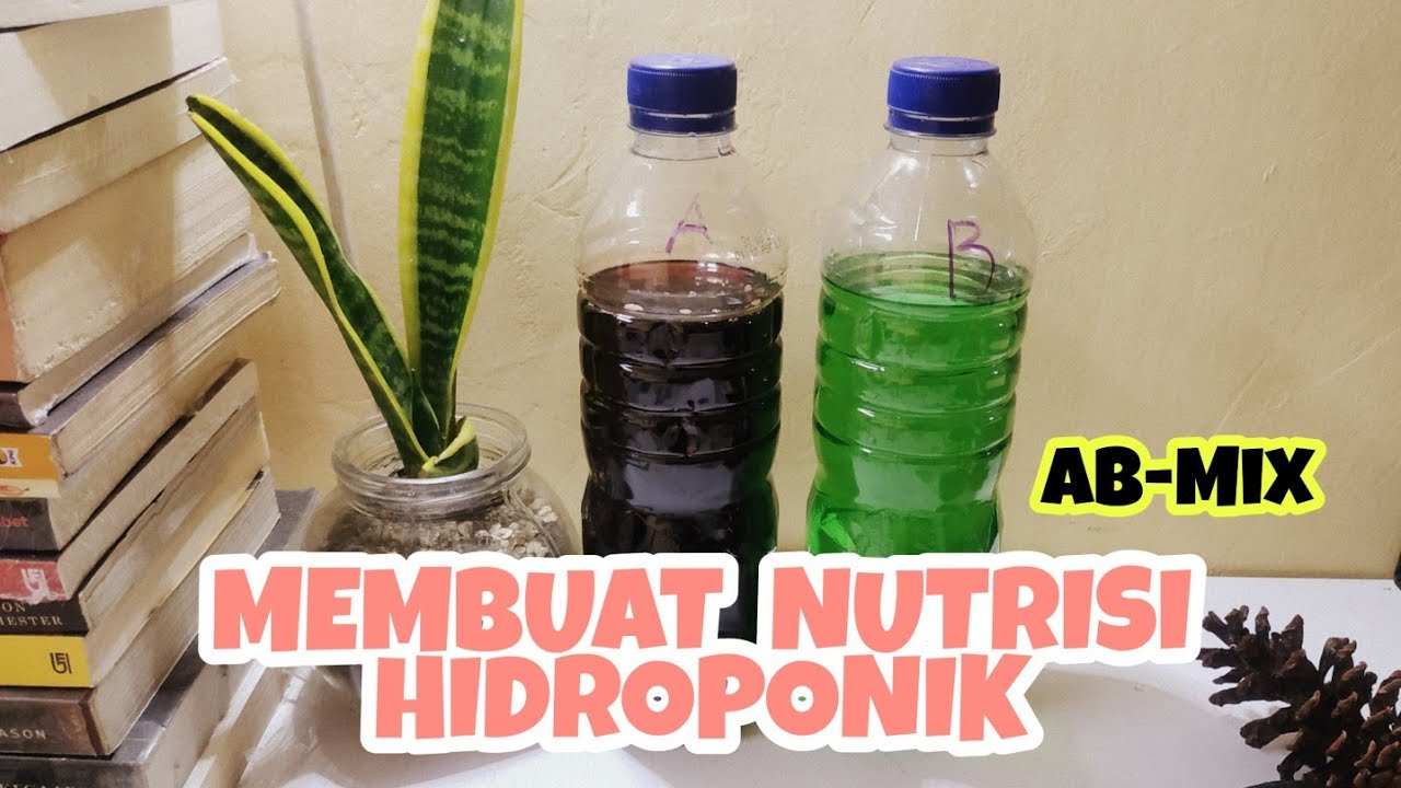 Cara Membuat Nutrisi Hidroponik  AB Mix Siap Pakai YouTube