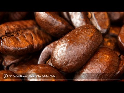 Where Do Coffee Beans Come From? | Perfect Coffee