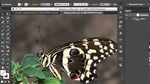 Adobe Illustrator CS6 Basic Clipping Mask