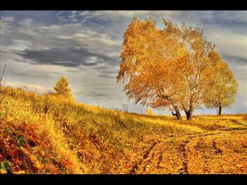 Phil Collins - Another day in te paradise - Otro día en el paraiso