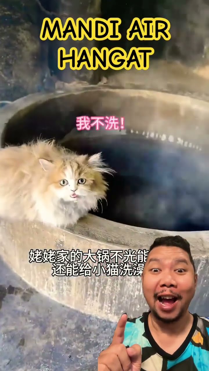 SI MEONG PENGEN MANDI AIR HANGAT!!!???