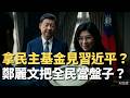 國民黨申請民主基金會補助