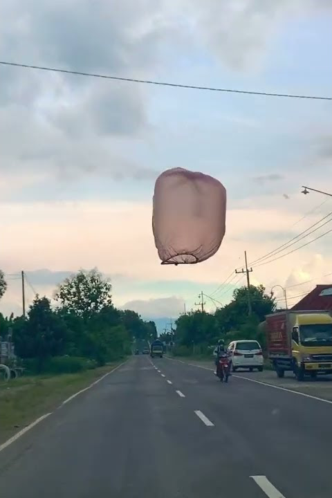 Penemuan balon imut di jalan raya #shorts