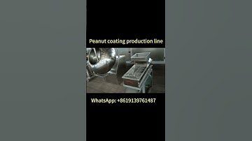 Automatic Peanut Coating Line | High efficiency, 50–500kg/h output 🌰🔥