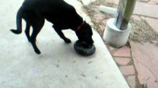 DSCN0607.AVI