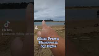 flathead Challenge using a squidgy prawn wriggler Wealth