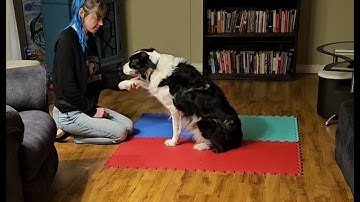 Beth Dowbiggin Unit 2, Lesson 6, Exercise 6.2: Evaluating Stimulus Control Pt 2