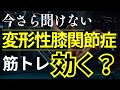 膝OAの筋トレの効果
