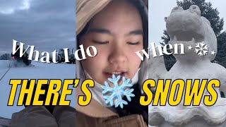 What I do when there’s snows หิมะตกทำอะไร (sledding/แกะสลักหิมะ) | exchange students USA