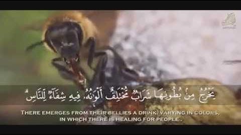 تلاوة فاقت الخيال ستعيد الفيديو اكتر من مرة لجمال و ابداع القارئ عبد الباسط