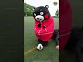 “Kumamon Goes for Goal!”