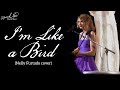 Taylor Swift - I&#39;m Like a Bird (Cover) (Live on the Speak Now World Tour)