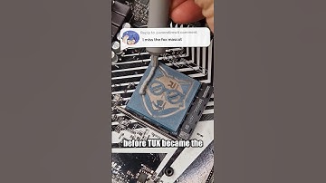 The Amazing Story Of Xenia The Linux Fox Mascot 🦊