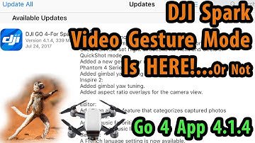 DJI Spark Video Gesture Update! Go 4 App 4.1.4 Tease...Video Gesture Close!