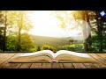 3 hours study music  relaxing music for studying  no ads