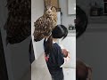 【フクロウ】弟君に慣れてきました