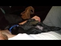 Running in his sleep...