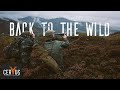 EPIC SCOTTISH HILL STAG HUNT | BACK TO THE WILD