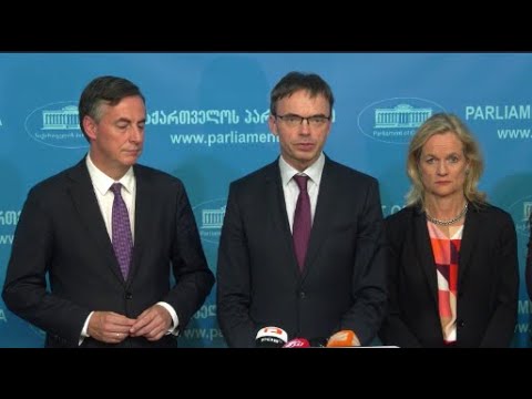 ევროპარლამენტარების მთავარი გზავნილები შეხვედრები თბილისში