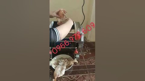 Máy cán khô mực,khô cá đuối,khô bò,khô trâu chạy điện #maycankhomuc #maycankhobo