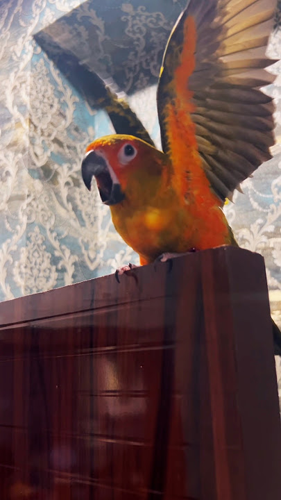 That evil laugh 😈