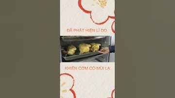 Một số lí do sau khi đu cơm bằng tủ nấu cơm công nghiệp lại có mùi lạ, và giải pháp là gì?