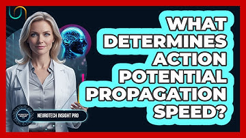 What Determines Action Potential Propagation Speed? - Neurotech Insight Pro