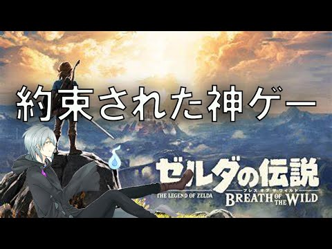 ブレスオブザワイルド　完【ゼルダの伝説BOW】