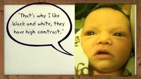 Descriptive Paragraph