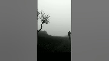 قَالَ لَهُ صَاحِبُهُ وَهُوَ يُحَاوِرُهُ سورة غافر الشيخ احمد نعينع