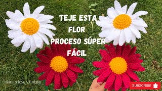 Flor margarita tejida a crochet super facil   / TEJIDOS paso a paso @mariaslovelyhobbyamigurumis