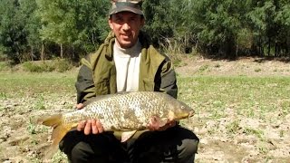 Ловля сазана. Рыбалка на Урале в Казахстане