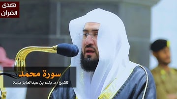 سورة محمد للشيخ: بندر بليلة من المسجد الحرام