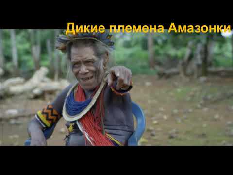 8 класс. География. Политическая карта и население Южной Америки