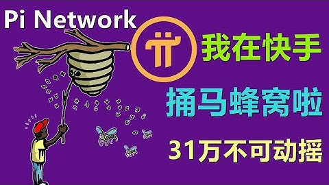Pi Network中国先锋攻击力极强，我捅马蜂窝了，31万写入代码已成定局？你反对就白痴多学习。
