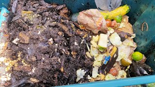 Restocking and Feeding Compost Worms Bin Before the Rain by Backyard Bloom Family 49 views 1 year ago 17 minutes