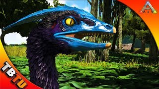 FULL MUTATED MICRORAPTOR! Ark Microraptor Breeding and Mutations! Ark Survival Evolved