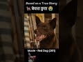 #amazingfacts #doglover #story #movie #cartoon #explainedinhind #bhoot #moviemovie