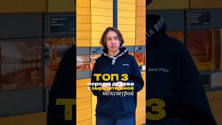 Топ-3 породы дерева, от текстуры которых невозможно оторвать взгляд!