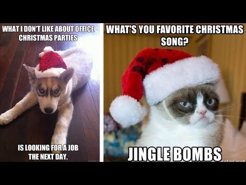 funny-christmas-eve-memes!