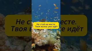 Залипай и зарабатывай #работаонлайн #онлайнзаработок #удаленнаяработа  #работадома #доходонлайн